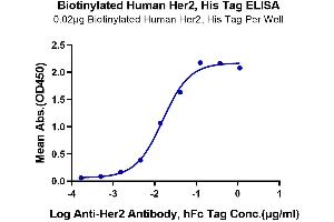 ELISA image for Receptor tyrosine-protein kinase erbB-2 (ErbB2/Her2) (AA 23-652) protein (His-Avi Tag,Biotin) (ABIN7274800)
