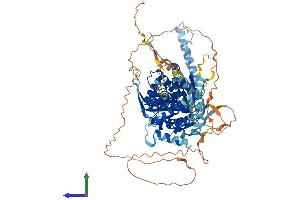 Protein Structure (PS) image for Bardet-Biedl Syndrome 10 (BBS10) (AA 1-723) protein (His tag) (ABIN7552557)