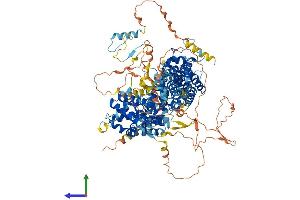 Protein Structure (PS) image for Retinoblastoma-Like 1 (p107) (RBL1) (AA 1-1068) protein (His tag) (ABIN7555121)