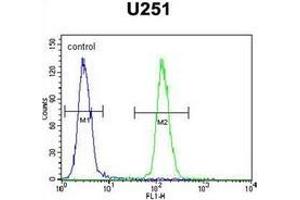 Flow Cytometry (FACS) image for anti-Interaction Protein For Cytohesin Exchange Factors 1 (IPCEF1) (AA 316-345), (C-Term) antibody (ABIN952935)