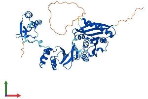 Protein Structure (PS) image for tRNA Methyltransferase 12 Homolog (TRMT12) (AA 1-446) protein (His tag) (ABIN7558530)