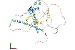 Protein Structure (PS) image for CLK4-Associating Serine/arginine Rich Protein (CLASRP) (AA 1-668) protein (His tag) (ABIN7559301)