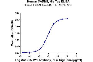 ELISA image for Cell Adhesion Molecule 1 (CADM1) (AA 45-374) protein (His tag) (ABIN7274016)