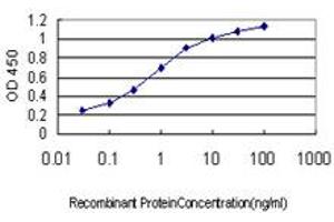 Detection limit for recombinant GST tagged PRSS7 is approximately 0. (TMPRSS15 抗体  (AA 361-470))