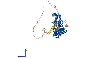 Protein Structure (PS) image for Kinesin Light Chain 3 (KLC3) (AA 1-504) protein (His tag) (ABIN7548818)