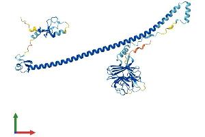 Protein Structure (PS) image for Tripartite Motif Containing 50 (TRIM50) (AA 1-487) protein (His tag) (ABIN7544747)