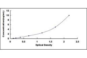 Typical standard curve (Granulin ELISA 试剂盒)