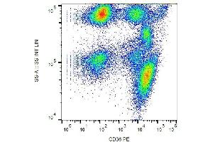 Surface staining of human peripheral blood with anti-CD36 (TR9) PE. (CD36 抗体  (PE))