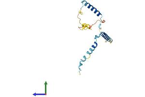 Protein Structure (PS) image for G-Protein Signaling Modulator 3 (GPSM3) (AA 1-159) protein (His tag) (ABIN7557129)