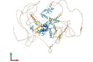 Protein Structure (PS) image for PR Domain Containing 10 (PRDM10) (AA 1-1184) protein (His tag) (ABIN7563754)
