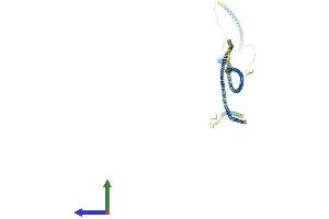 Protein Structure (PS) image for Hyaluronan-Mediated Motility Receptor (RHAMM) (HMMR) (AA 1-794) protein (His tag) (ABIN7563574)