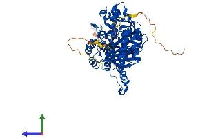 Protein Structure (PS) image for Collapsin Response Mediator Protein 1 (CRMP1) (AA 1-572) protein (His tag) (ABIN7547191)