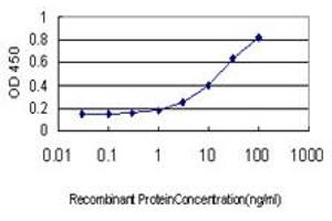 Detection limit for recombinant GST tagged TNFRSF17 is approximately 0. (BCMA 抗体  (AA 1-184))