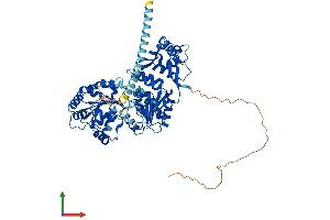 AlphaFold protein structure predicition of Human Recombinant RECQL Protein, UniprotID P46063