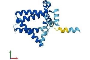 Protein Structure (PS) image for ADP-Ribosylation-Like Factor 6 Interacting Protein 5 (Arl6ip5) (AA 1-188) protein (His tag) (ABIN7559782)