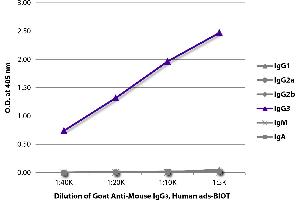 ELISA plate was coated with purified mouse IgG1, IgG2a, IgG2b, IgG3, IgM, and IgA. (山羊 anti-小鼠 IgG3 (Heavy Chain) Antibody (Biotin))