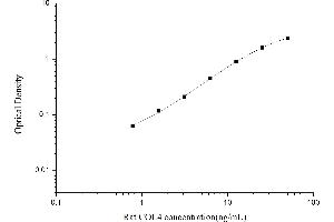 Typical standard curve (Collagen IV ELISA 试剂盒)