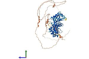 Protein Structure (PS) image for Protein Kinase, AMP-Activated, gamma 2 Non-Catalytic Subunit (PRKAG2) (AA 1-566) protein (His tag) (ABIN7564801)