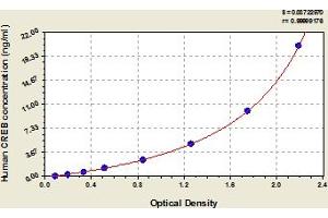 Typical Standard Curve (CREB1 ELISA 试剂盒)