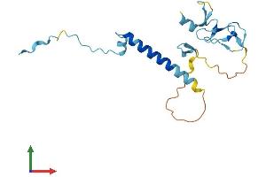 Protein Structure (PS) image for SIVA1, Apoptosis-Inducing Factor (SIVA1) (AA 1-175) protein (His tag) (ABIN7562446)