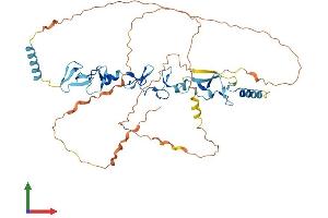 Protein Structure (PS) image for Thyroid Hormone Receptor Interactor 6 (TRIP6) (AA 1-476) protein (His tag) (ABIN7544776)