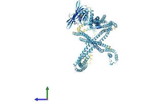 AlphaFold protein structure predicition of Human Recombinant RAD50 Protein, UniprotID Q92878