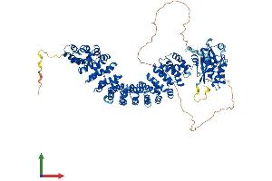 AlphaFold protein structure predicition of Mouse Recombinant Armc3 Protein, UniprotID A2AU72 (ARMC3 Protein (AA 1-881) (His tag))