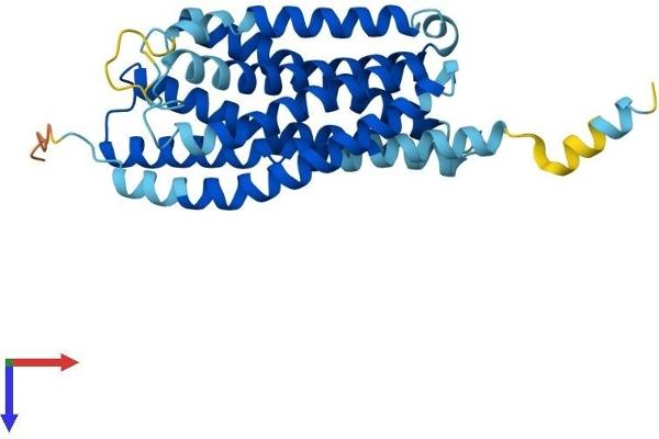 GPR55 Protein (AA 1-319) (His tag)