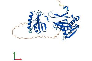 Protein Structure (PS) image for Nudix (Nucleoside Diphosphate Linked Moiety X)-Type Motif 6 (NUDT6) (AA 1-313) protein (His tag) (ABIN7559334)
