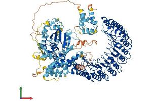 Protein Structure (PS) image for NLR Family, Pyrin Domain Containing 12 (NLRP12) (AA 1-1054) protein (His tag) (ABIN7562128)