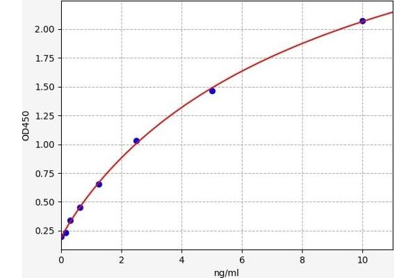 DNMT1 ELISA 试剂盒