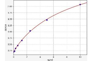 Typical standard curve (DNMT1 ELISA 试剂盒)