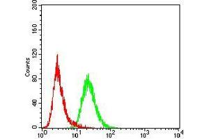 Flow cytometric analysis of HeLa cells using FBXL10 mouse mAb (green) and negative control (red).