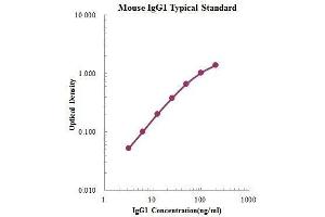 IgG1 ELISA Kit