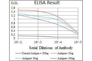 Black line: Control Antigen (100 ng), Purple line: Antigen(10 ng), Blue line: Antigen (50 ng), Red line: Antigen (100 ng), (SPIB 抗体  (AA 200-252))