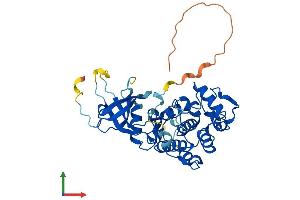 AlphaFold protein structure predicition of Human Recombinant CDK9 Protein, UniprotID P50750