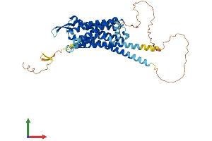 Protein Structure (PS) image for Cholecystokinin A Receptor (CCKAR) (AA 1-428) protein (His tag) (ABIN7553150)