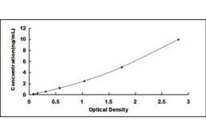 Typical standard curve (ECH1 ELISA 试剂盒)