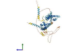 Protein Structure (PS) image for Cation Channel, Sperm Associated 2 (CATSPER2) (AA 1-588) protein (His tag) (ABIN7561953)