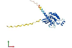 Protein Structure (PS) image for Ras Homolog Gene Family, Member V (RHOV) (AA 1-236) protein (His tag) (ABIN7551369)