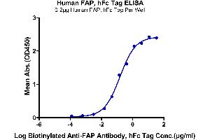 ELISA image for Fibroblast Activation Protein, alpha (FAP) (AA 26-760) protein (Fc Tag) (ABIN7274584)