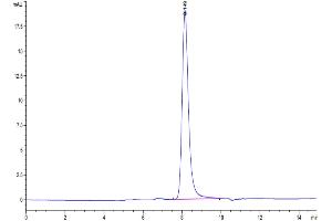 Size-exclusion chromatography-High Pressure Liquid Chromatography (SEC-HPLC) image for GDNF Family Receptor alpha 1 (GFRA1) (AA 25-424) protein (His tag) (ABIN7274741)