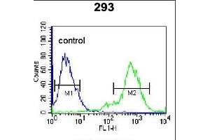 TIEG Antibody (Center) (ABIN655153 and ABIN2844772) flow cytometric analysis of 293 cells (right histogram) compared to a negative control cell (left histogram). (KLF10/TIEG1 抗体  (AA 198-225))
