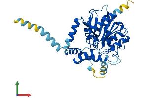 Protein Structure (PS) image for Abhydrolase Domain Containing 6 (ABHD6) (AA 1-337) protein (His tag) (ABIN7551824)
