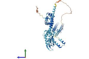 Protein Structure (PS) image for Cyclic Nucleotide Gated Channel alpha 4 (CNGA4) (AA 1-575) protein (His tag) (ABIN7553524)