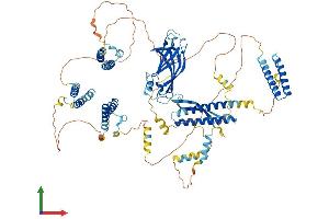 Protein Structure (PS) image for Coiled-Coil and C2 Domain Containing 1B (CC2D1B) (AA 1-848) protein (His tag) (ABIN7558843)