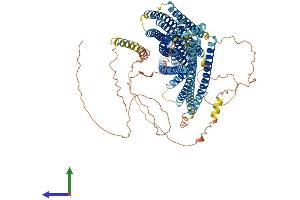 Protein Structure (PS) image for Ellis Van Creveld Syndrome (EVC) (AA 1-1005) protein (His tag) (ABIN7563460)
