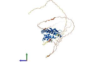 Protein Structure (PS) image for TSPY-Like 1 (TSPYL1) (AA 1-379) protein (His tag) (ABIN7562673)