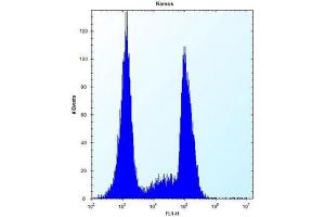 Flow Cytometry (FACS) image for anti-Olfactory Receptor, Family 10, Subfamily G, Member 9 (OR10G9) (AA 210-240), (C-Term) antibody (ABIN953818)