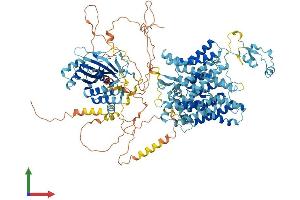 Protein Structure (PS) image for Solute Carrier Family 4, Sodium Bicarbonate Transporter, Member 10 (SLC4A10) (AA 1-1118) protein (His tag) (ABIN7555366)